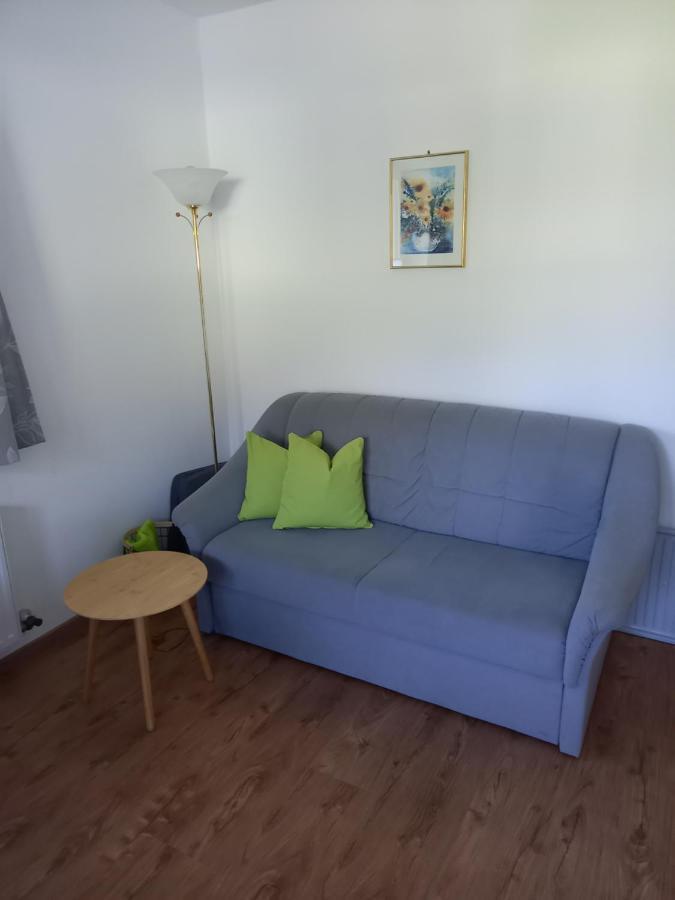 Appartements Lederer Maria Alm am Steinernen Meer Luaran gambar